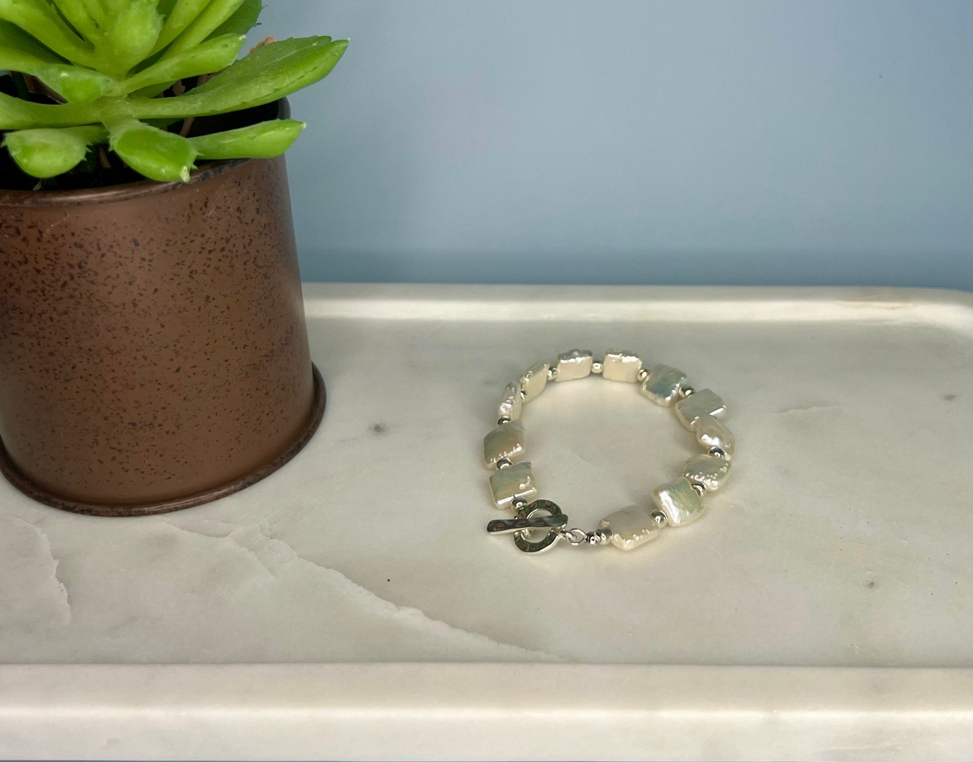 a bracelet sitting on top of a table next to a potted plant