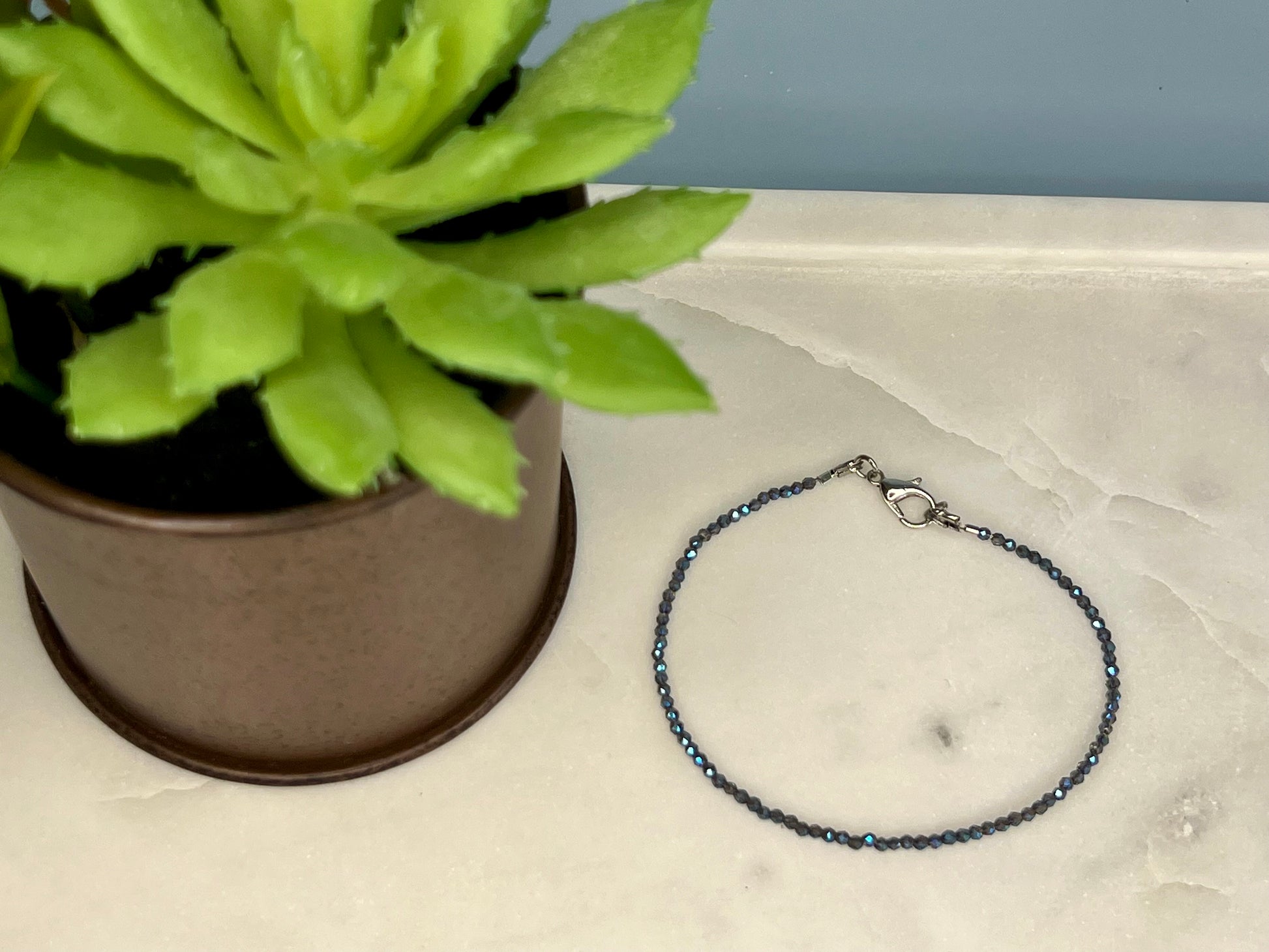 a bracelet is sitting next to a potted plant