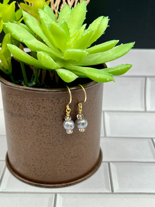 a potted plant sitting on top of a white tile floor